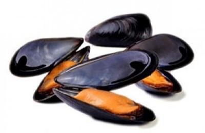 EPIC Mīdijas 40/60, (5x1kg) ČILE 10762 (...35800)